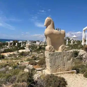 Cactus Park