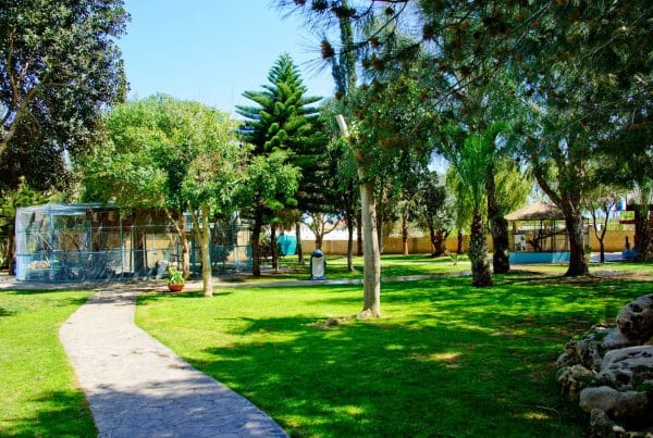 Ocean Aquarium Protaras