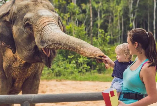 Paphos Zoo