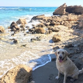 Potamia Beach (Dog Friendly Beach)