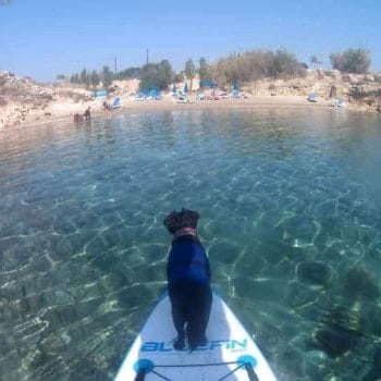 Potamia Beach (Dog Friendly Beach)