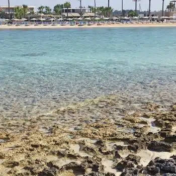 Spiaggia di Agia Thekla