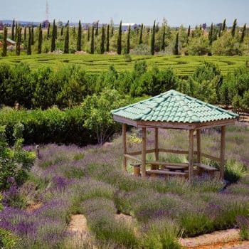 Cyherbia Botanical Park