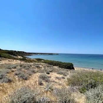 Lara Beach