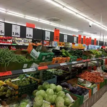 Lidl Protaras