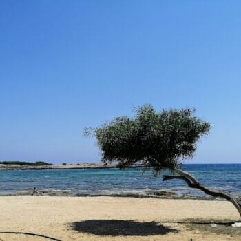 Makronissos Beach West