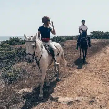 Moonshine Ranch