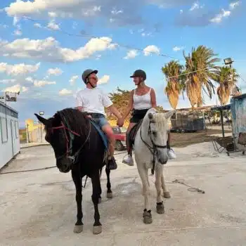 Moonshine Ranch