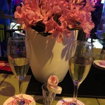 The Senior Frog's Party Bar