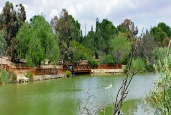 National Forest Park of Athalassa
