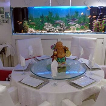 Little Panda Chinese & Sushi