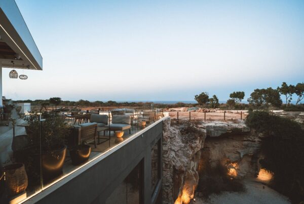 Tetra All Day Concept