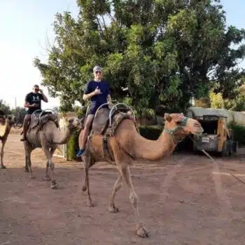 Camel Park