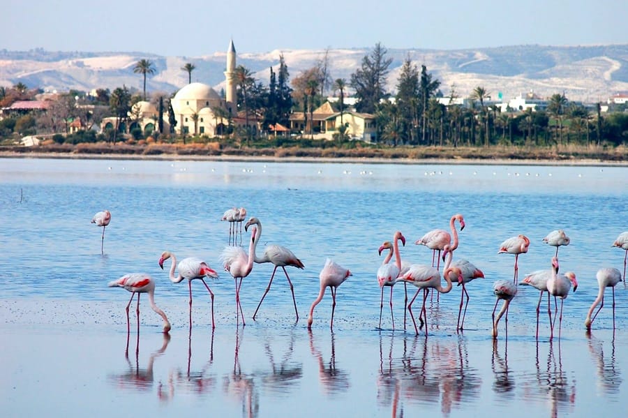 The Most Instagrammable Places in Cyprus: A Complete Guide