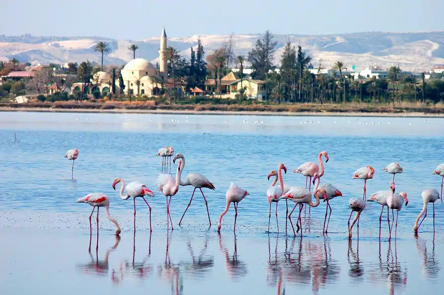 The Most Instagrammable Places in Cyprus: A Complete Guide